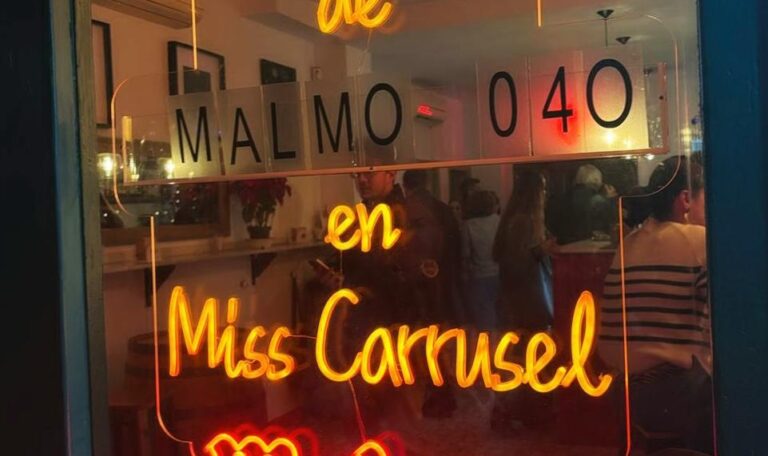 Concierto Malmö 040